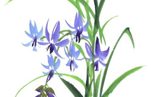 2026年11月13日动土黄道吉日 宜动土吉日查询 2026年11月13日动土黄道吉日 宜动土吉日查询