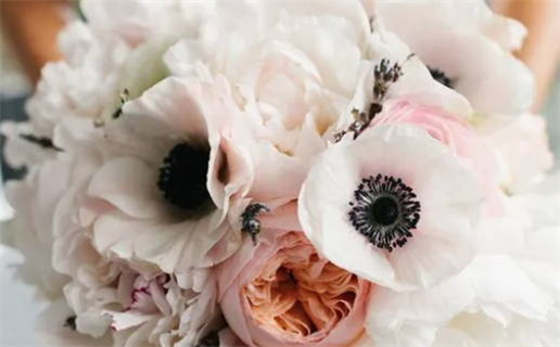 2029年农历八月初六结婚好吗 是办喜事好日子吗