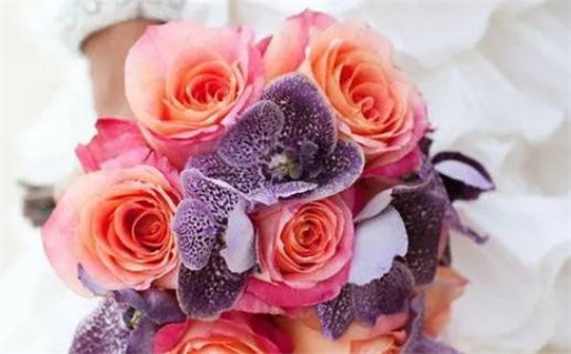 2029年11月24日结婚日子如何 今日办喜事好不好