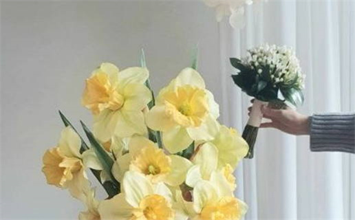 2029年农历正月二十是结婚好日子吗 今日办婚礼好吗 2029年农历正月二十是结婚好日子吗 今日办婚礼好吗