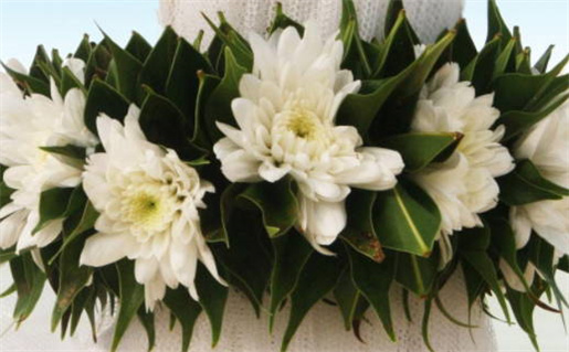 2028年11月22日结婚好不好 是办婚礼好日子吗 2028年11月22日结婚好不好 是办婚礼好日子吗