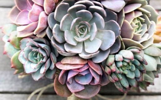 2029年03月27日结婚黄道吉日 是办喜事好日子吗 2029年03月27日结婚黄道吉日 是办喜事好日子吗