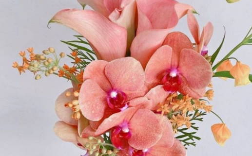 2030年01月31日结婚好吗 宜办婚礼吉日查询