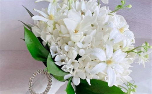 2026年农历冬月初一领证好不好 登记结婚吉利吗 2026年农历冬月初一领证好不好 登记结婚吉利吗