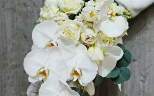 2027年02月23日领证日子如何 今日登记结婚好不好 2027年02月23日领证日子如何 今日登记结婚好不好