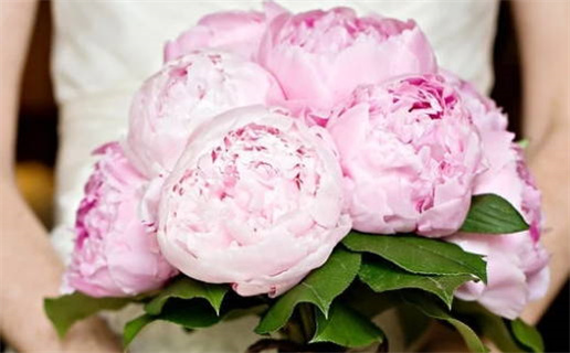 2026年农历九月十一领证日子如何 今日领证结婚好吗