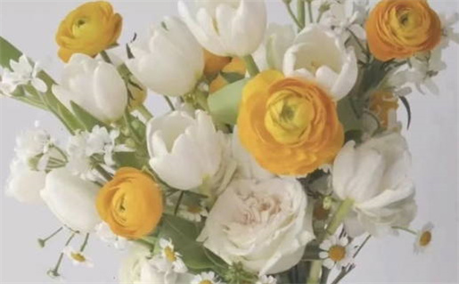 2026年11月21日是不是领证吉日 是领证好日子吗 2026年11月21日是不是领证吉日 是领证好日子吗