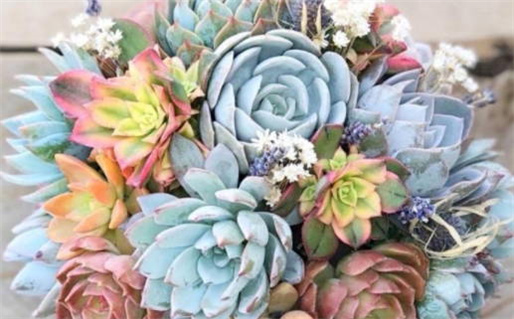 2026年10月26日领证好吗 是领证结婚好日子吗 2026年10月26日领证好吗 是领证结婚好日子吗