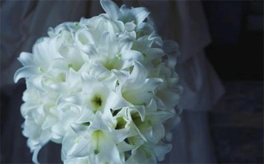 2027年01月27日是领证好日子吗 宜登记结婚吉日查询