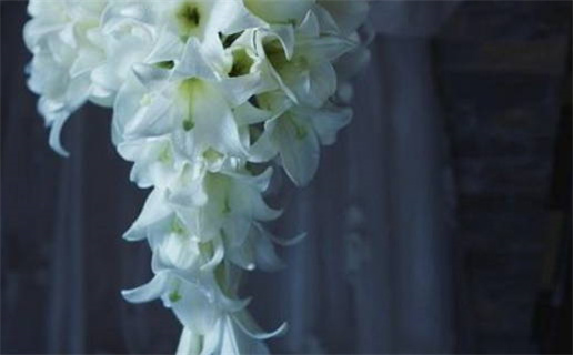 2026年农历冬月初五是领证好日子吗 宜登记结婚吉日查询 2026年农历冬月初五是领证好日子吗 宜登记结婚吉日查询