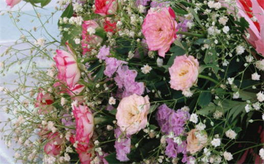 2027年08月03日领证吉日查询 今日领证结婚好不好 2027年08月03日领证吉日查询 今日领证结婚好不好