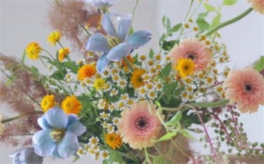 2027年农历正月初三是不是领证吉日 宜登记结婚吉日查询 2027年农历正月初三是不是领证吉日 宜登记结婚吉日查询