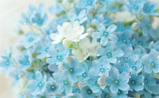 2026年12月28日是不是领证吉日 领证结婚吉利吗 2026年12月28日是不是领证吉日 领证结婚吉利吗