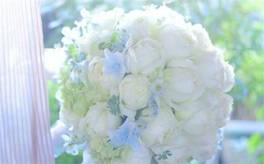 2026年农历九月廿六领证好不好 宜领证吉日查询 2026年农历九月廿六领证好不好 宜领证吉日查询