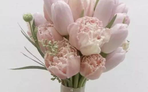 2026年11月20日领证好不好 宜登记结婚吉日查询 2026年11月20日领证好不好 宜登记结婚吉日查询