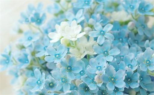 2026年12月26日乔迁黄道吉日 是乔迁入住好日子吗 2026年12月26日乔迁黄道吉日 是乔迁入住好日子吗