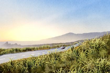 2027年农历五月廿四是不是提车吉日 今日买新车好不好