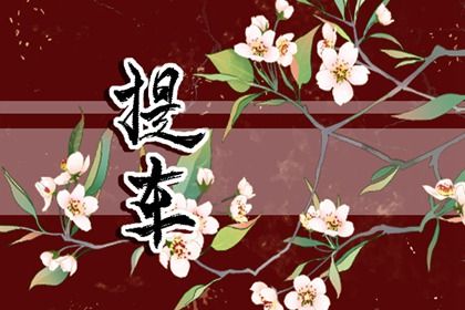 2025年06月18日提车日子如何 提车吉利吗