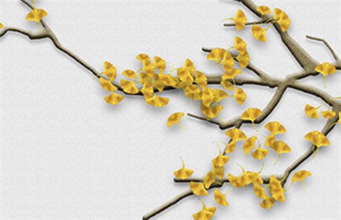 2026年农历九月初五装修日子如何 今日装修动工好吗 2026年农历九月初五装修日子如何 今日装修动工好吗