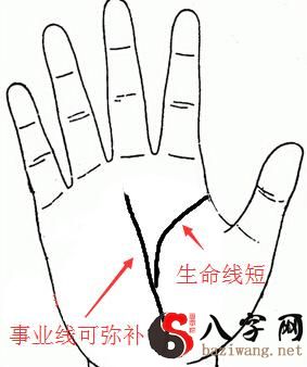 手相学|寿命长短与手相有关?短命手相是什么样?
