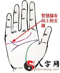 女人什么手相最招财,女人什么手相财运好?