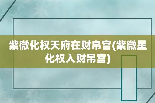 流年紫微天府入财帛