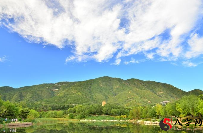 梦见青山绿水