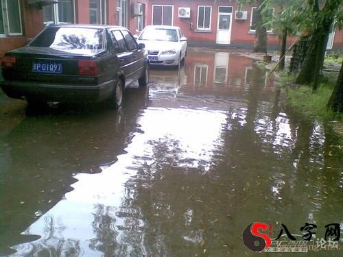 梦见下雨发大水