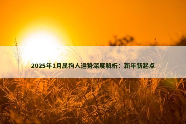 2025年1月属狗人运势深度解析:新年新起点