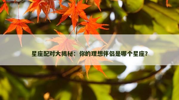 星座配对大揭秘：你的理想伴侣是哪个星座？