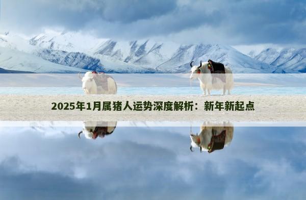 2025年1月属猪人运势深度解析:新年新起点