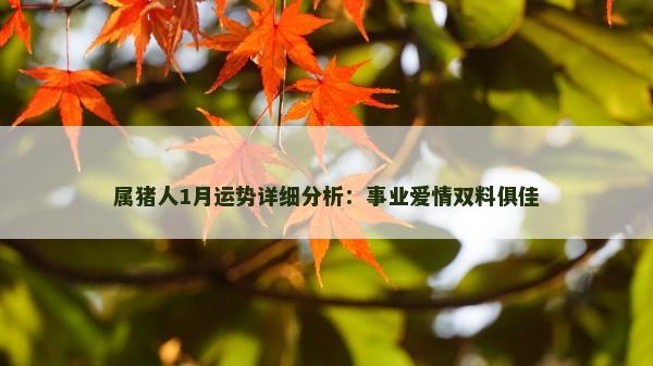 属猪人1月运势详细分析:事业爱情双料俱佳