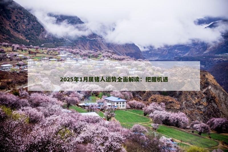 2025年1月属猪人运势全面解读:把握机遇