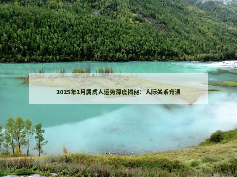 2025年1月属虎人运势深度揭秘:人际关系升温
