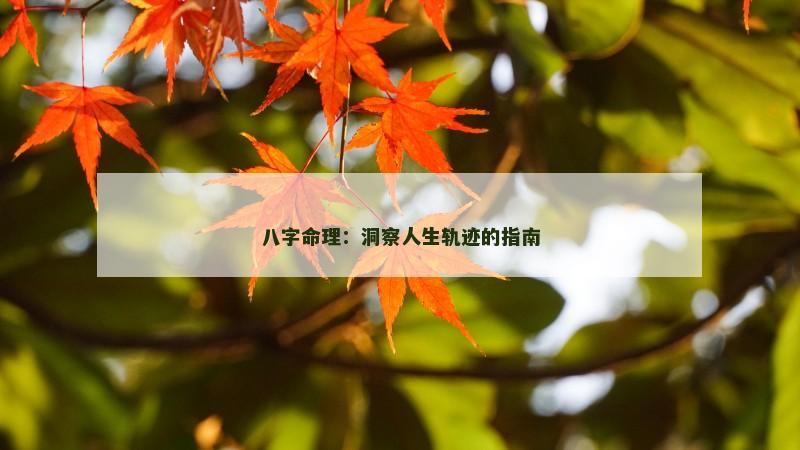 八字命理:洞察人生轨迹的指南