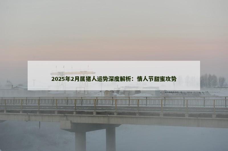 2025年2月属猪人运势深度解析:情人节甜蜜攻势
