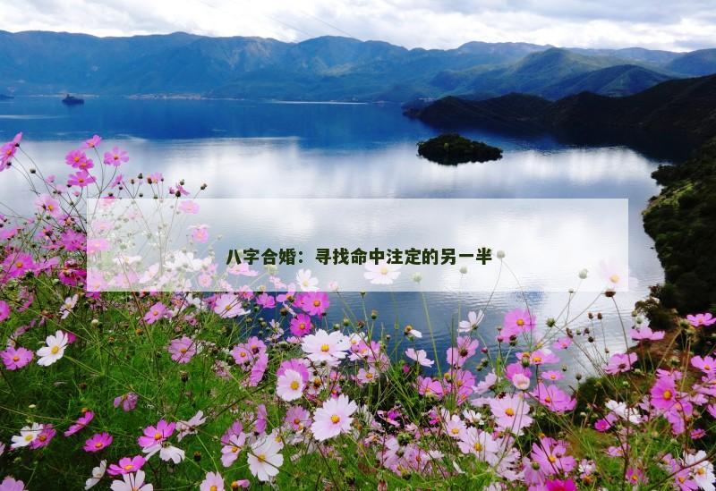 八字合婚:寻找命中注定的另一半