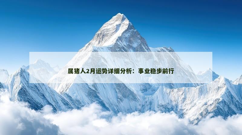 属猪人2月运势详细分析:事业稳步前行