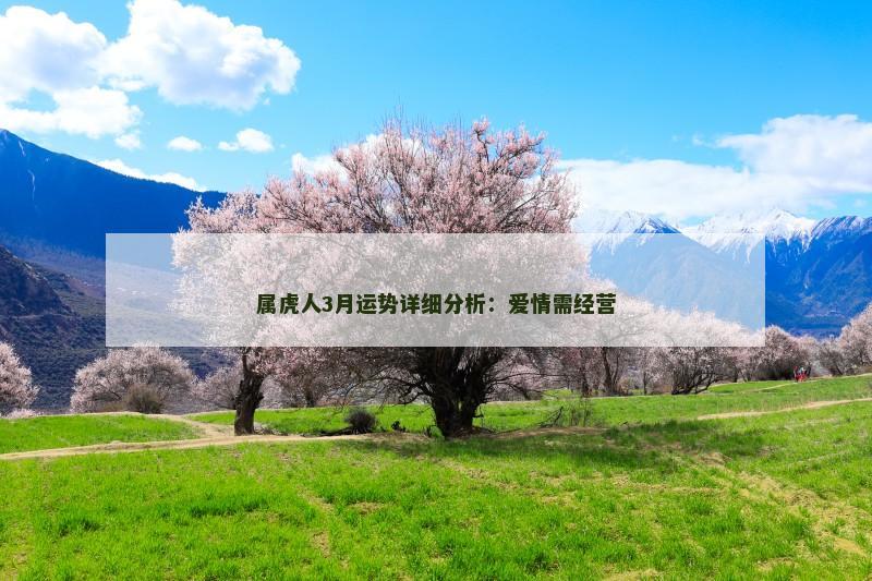 属虎人3月运势详细分析:爱情需经营