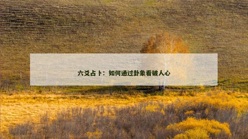 六爻占卜:如何通过卦象看破人心