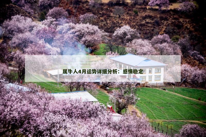 属牛人4月运势详细分析:感情稳定