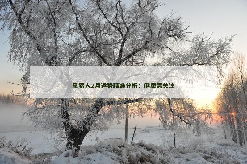 属猪人2月运势精准分析:健康需关注