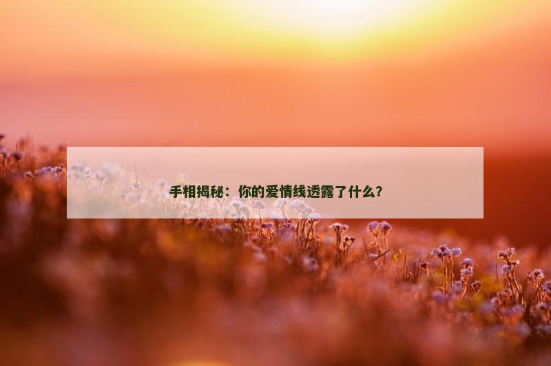 手相揭秘:你的爱情线透露了什么?