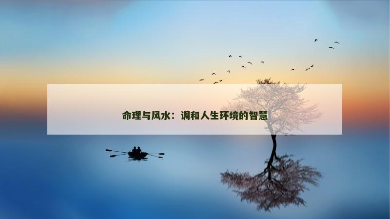 命理与风水:调和人生环境的智慧