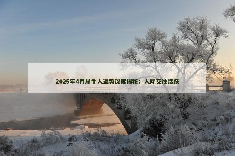 2025年4月属牛人运势深度揭秘:人际交往活跃