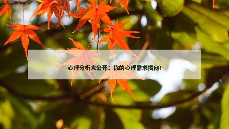 心理分析大公开:你的心理需求揭秘!
