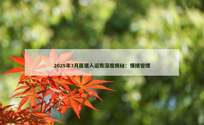 2025年3月属猪人运势深度揭秘:情绪管理