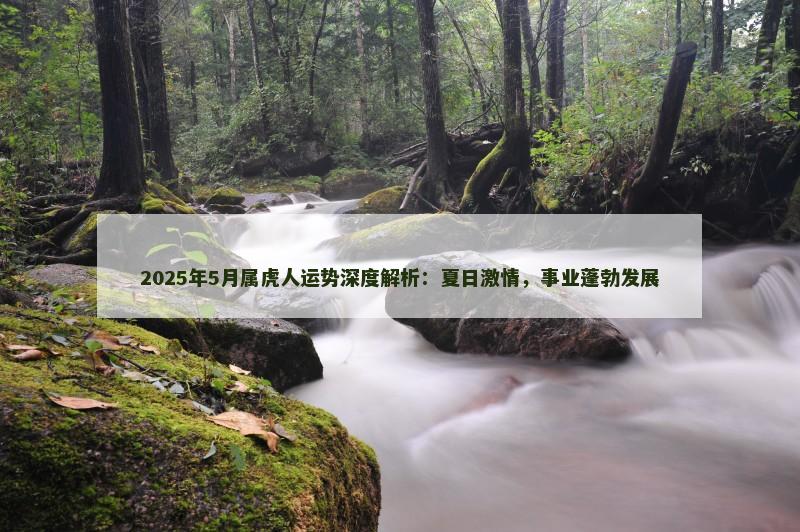 2025年5月属虎人运势深度解析:夏日激情,事业蓬勃发展