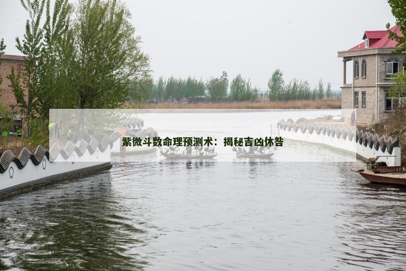 紫微斗数命理预测术:揭秘吉凶休咎