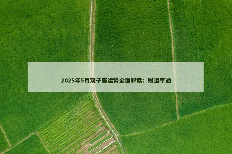 2025年5月双子座运势全面解读:财运亨通